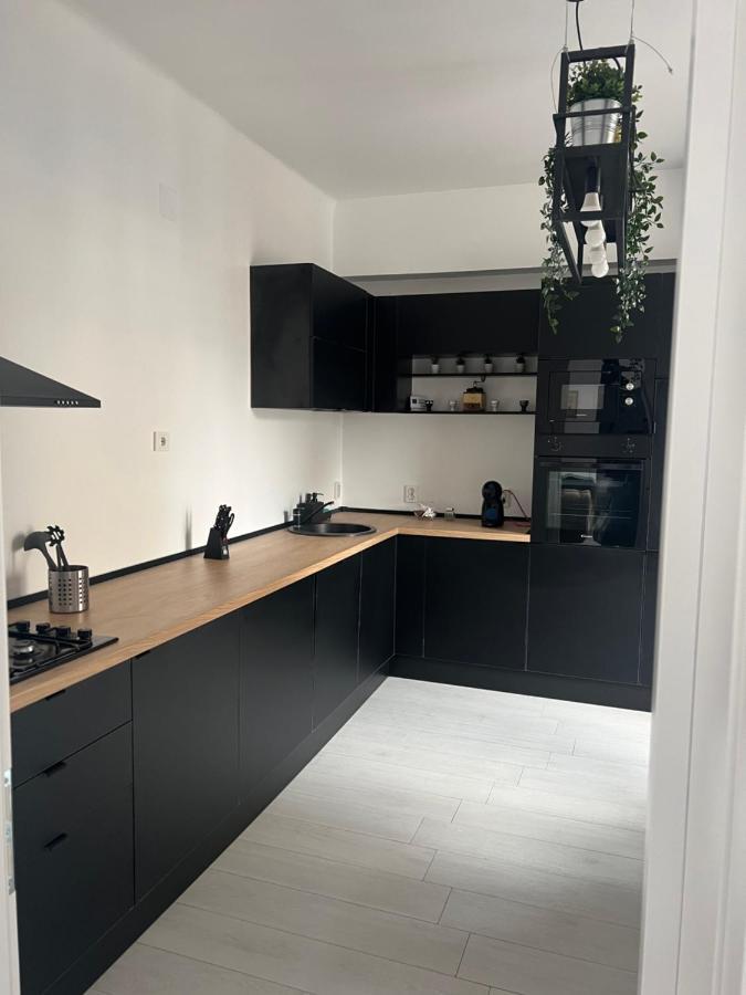 Ultracentral Calea Victoriei Apartment Bucharest